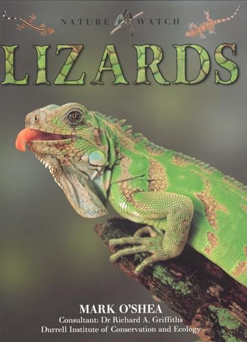 Beispielbild fr Lizards zum Verkauf von Better World Books