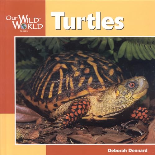 Beispielbild fr Turtles zum Verkauf von ThriftBooks-Atlanta