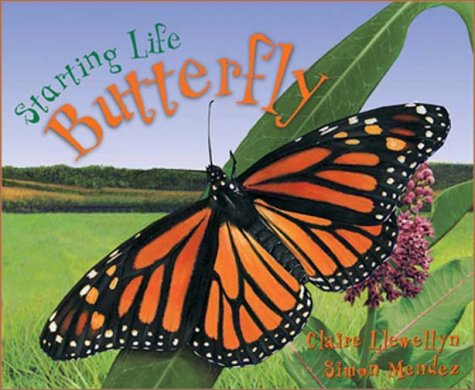 Starting Life: Butterflies (9781559718684) by Llewellyn, Claire