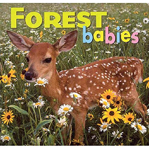 9781559718745: Forest Babies (Animal Babies)