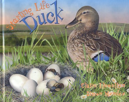 Beispielbild fr Starting Life Duck zum Verkauf von Better World Books