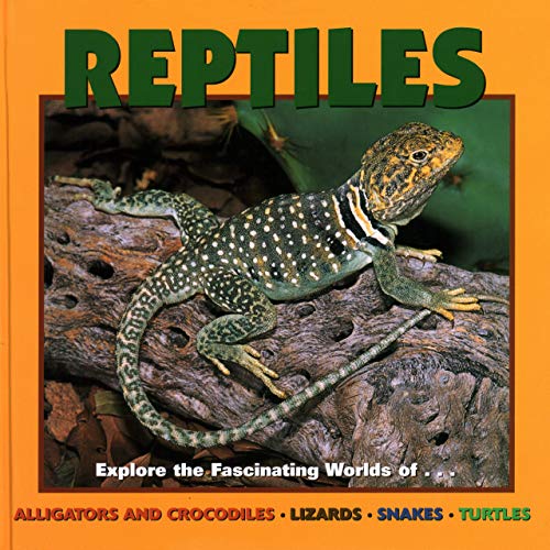 Beispielbild fr Reptiles : Explore the Fascinating Worlds of Alligators and Crocodiles, Lizards, Snakes, Turtles zum Verkauf von Better World Books