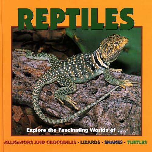 Stock image for Reptiles : Explore the Fascinating Worlds of Alligators and Crocodiles, Lizards, Snakes, Turtles for sale by Better World Books