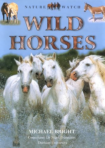 9781559718813: Wild Horses (Our Wild World)