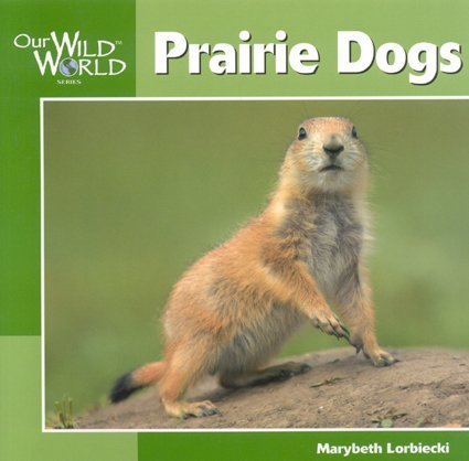 Imagen de archivo de Prairie Dogs a la venta por Librairie Th  la page