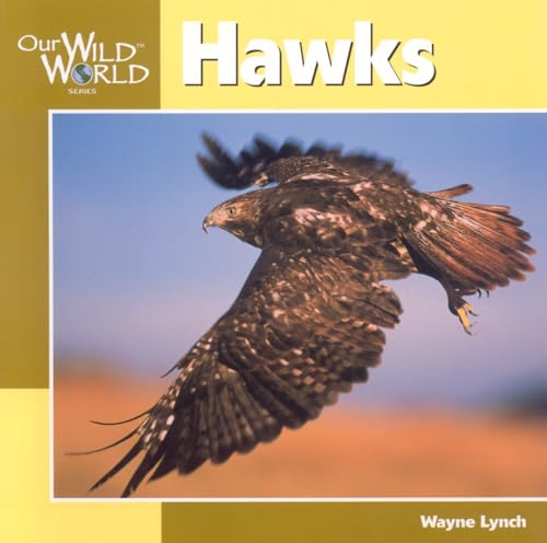 Hawks (Our Wild World) (9781559718868) by Lynch, Wayne