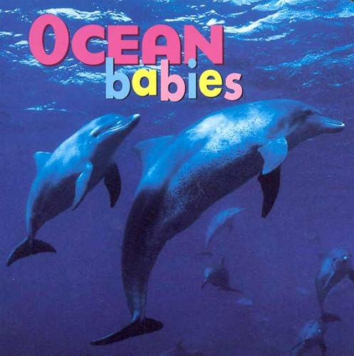 Imagen de archivo de Ocean Babies (Animal Babies) a la venta por SecondSale