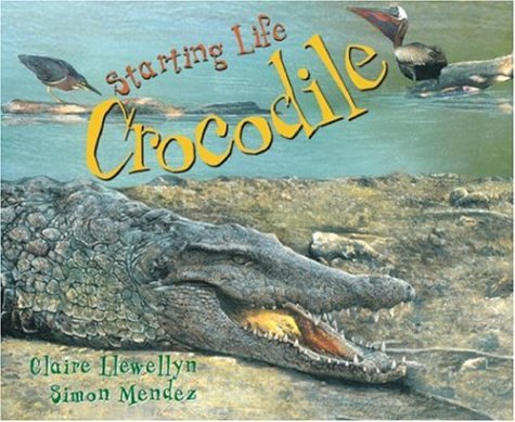 Imagen de archivo de Crocodile a la venta por Better World Books