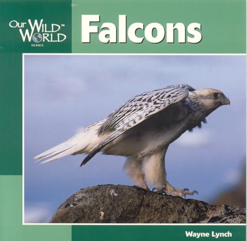 Imagen de archivo de Falcons (Our Wild World) a la venta por Hawking Books