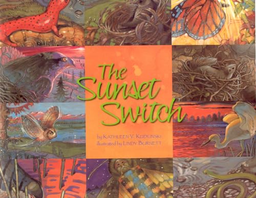 Beispielbild fr The Sunset Switch zum Verkauf von Wonder Book