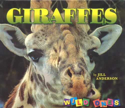 Beispielbild fr Giraffes zum Verkauf von Better World Books