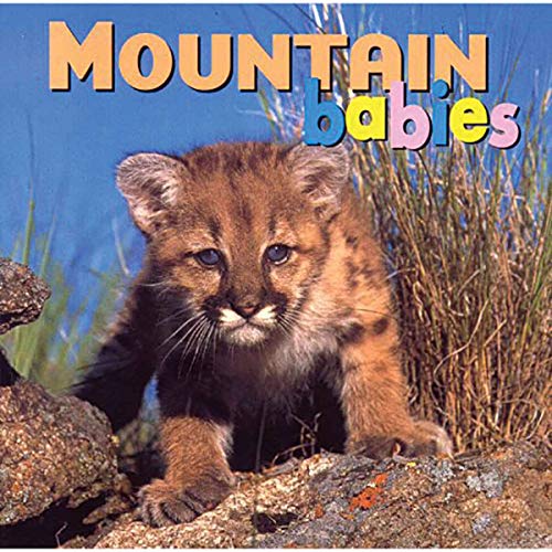 Beispielbild fr Mountain Babies (Animal Babies) zum Verkauf von SecondSale