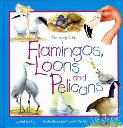 Imagen de archivo de Flamingos, Loons & Pelicans (Take Along Guides) a la venta por Irish Booksellers