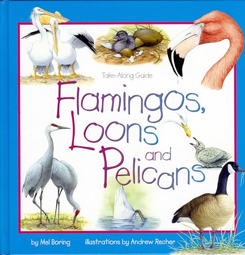 Stock image for Flamingos, Loons & Pelicans (Take Along Guides) for sale by Irish Booksellers