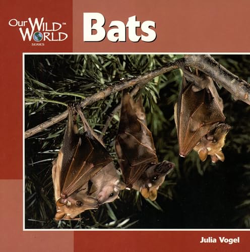 Bats (Our Wild World) (9781559719698) by Vogel, Julia