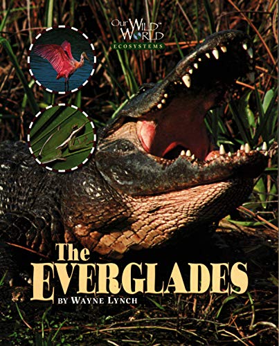 Beispielbild fr The Everglades zum Verkauf von Better World Books