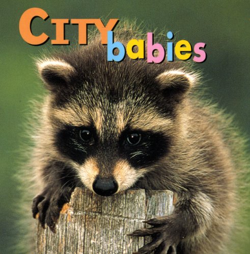 Beispielbild fr City Babies (Animal Babies) zum Verkauf von Wonder Book