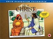 Stock image for Life of Christ 2: Flocked Visuals for sale by Wonder Book