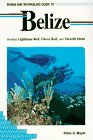 Beispielbild fr Diving and Snorkeling Guide to Belize : Lighthouse Reef, Glover Reef and Turneffe Island zum Verkauf von Better World Books