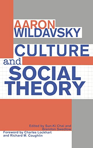 9781560002758: Culture and Social Theory