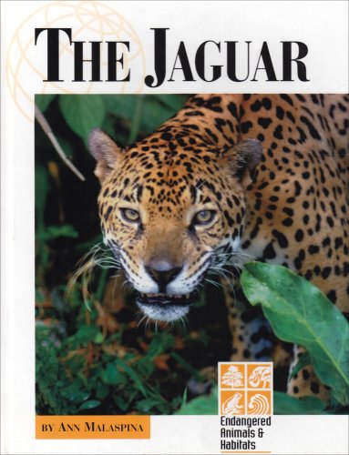 Imagen de archivo de The Jaguar a la venta por ThriftBooks-Dallas