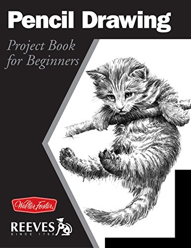 9781560107392: Pencil Drawing: Project book for beginners (Wf /Reeves Getting Started)