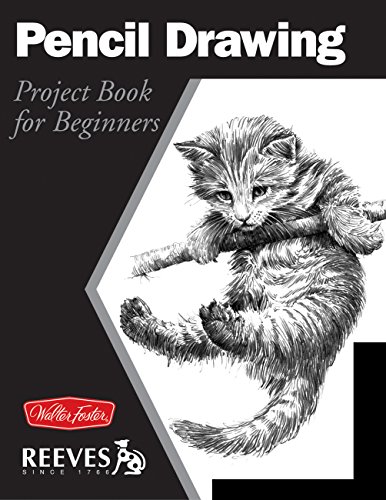 Stock image for Pencil Drawing: Project book for beginners (WF /Reeves Getting Started) for sale by Gulf Coast Books