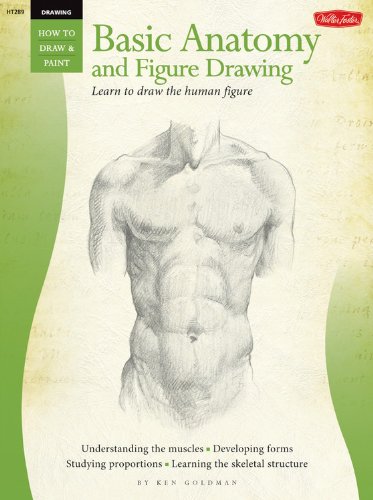 Beispielbild fr Beginner's Guide: Basic Anatomy and Figure Drawing (HT289) (How to Draw & Paint) zum Verkauf von BooksRun