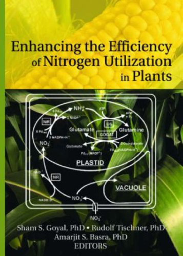 Imagen de archivo de Enhancing the Efficiency of Nitrogen Utilization in Plants a la venta por medimops