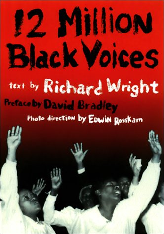 12 million black voices pdf download