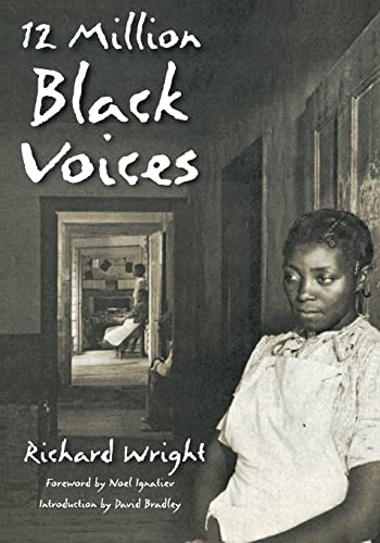 Stock image for 12 Million Black Voices for sale by Ergodebooks