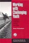 9781560328919: Working with Challenging Youth: Lessons Learned Along the Way