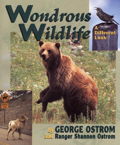 Beispielbild fr Wondrous Wildlife: A Different Look zum Verkauf von Half Price Books Inc.