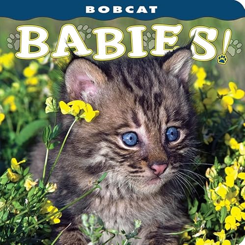 9781560371335: Bobcat Babies! (Babies! (Farcountry Press))