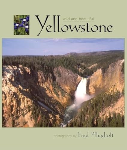 Stock image for Yellowstone: Wild & Beautiful for sale by James Lasseter, Jr