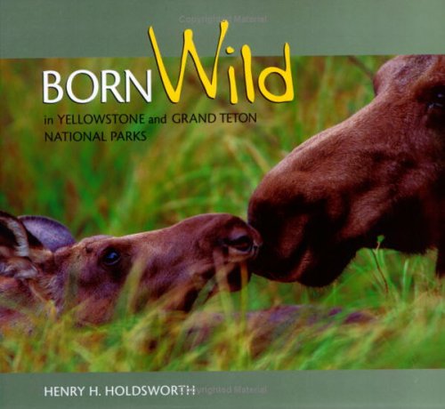 Imagen de archivo de Born Wild in Yellowstone and Grand Teton a la venta por Better World Books: West