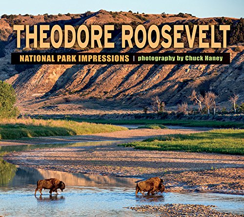 Imagen de archivo de Theodore Roosevelt National Park Impressions a la venta por Goodwill