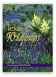 9781560372578: Texas Wildflowers