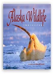 Beispielbild fr Alaska Wildlife Impressions zum Verkauf von Wonder Book