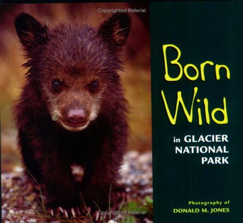 9781560373551: Born Wild in Glacier National Park