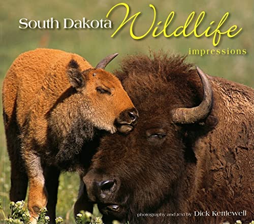 Stock image for South Dakota Wildlife Impressions for sale by Gulf Coast Books