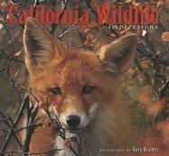 Imagen de archivo de California Wildlife Impressions a la venta por ThriftBooks-Dallas