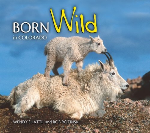 Beispielbild fr Born Wild in Colorado zum Verkauf von Wonder Book