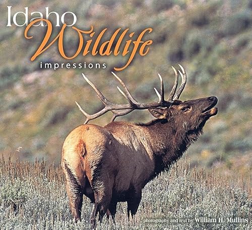 Beispielbild fr Idaho Wildlife Impressions zum Verkauf von Better World Books: West