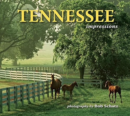 Beispielbild fr Tennessee Impressions zum Verkauf von Books from the Past