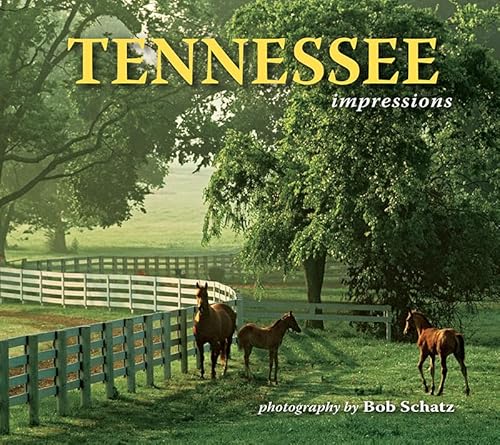 Stock image for Tennessee Impressions for sale by Books from the Past