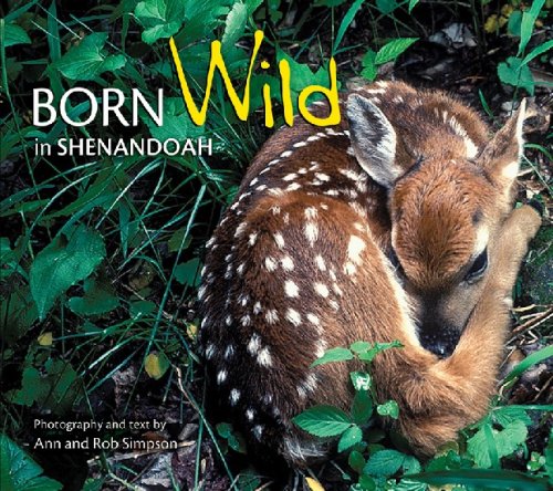 Stock image for Born Wild in Shenandoah for sale by Wonder Book