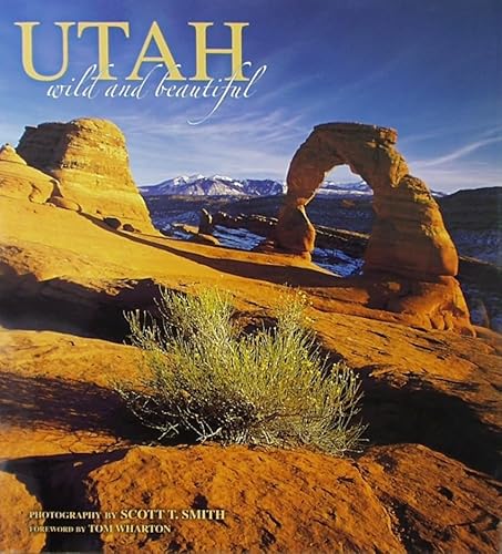 Stock image for Utah Wild and Beautiful for sale by HPB-Ruby