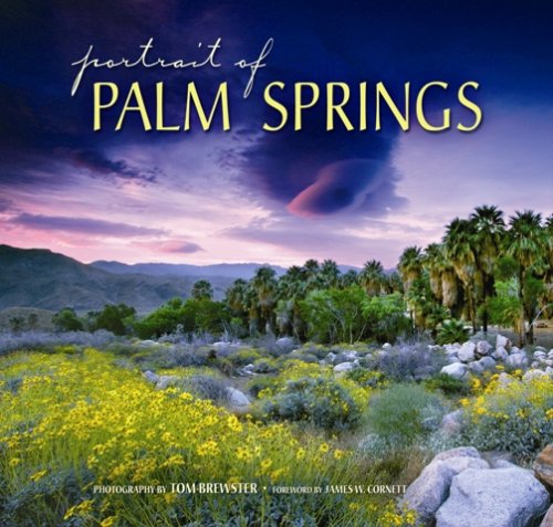 Beispielbild fr Portrait of Palm Springs zum Verkauf von Revaluation Books
