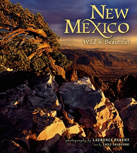 Beispielbild fr New Mexico Wild & Beautiful zum Verkauf von medimops